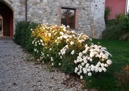 Casa Lisa Al Borgo Ripalvella